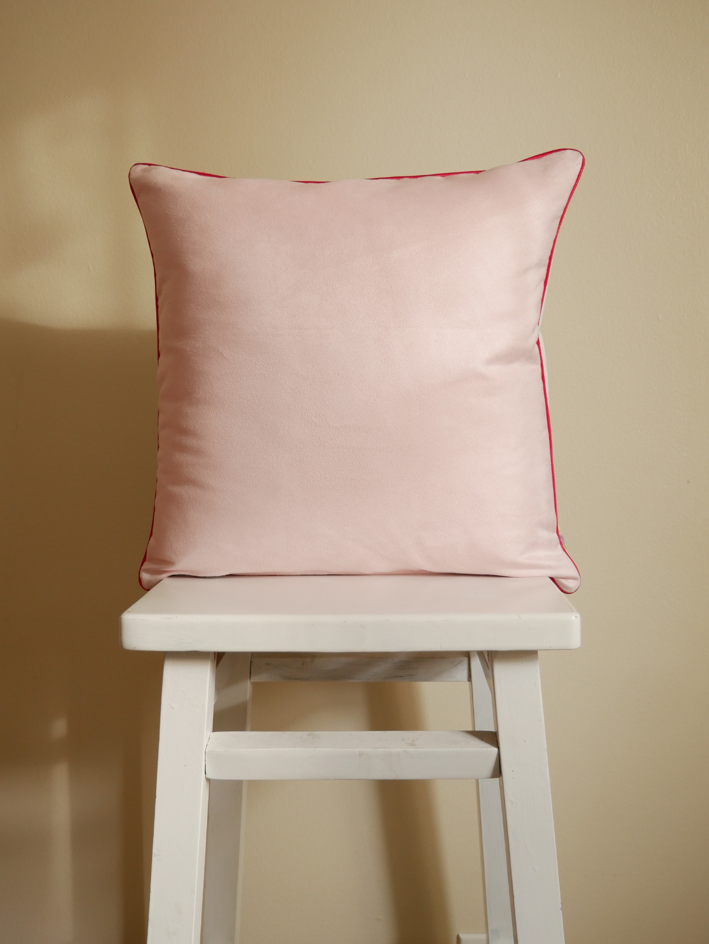 Ruby Throated Humming Bird