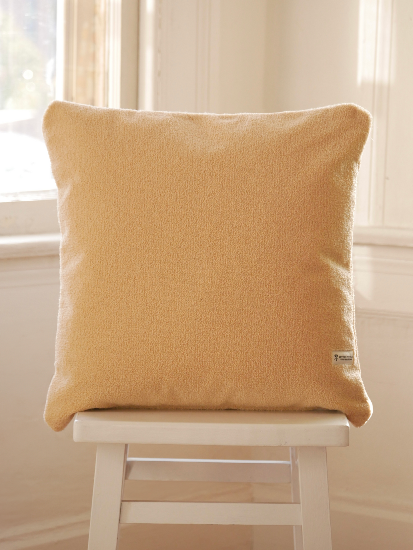 Pumpkin Cat Pillow Fundraiser